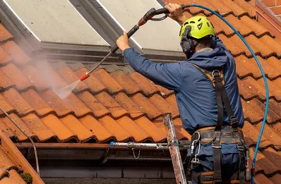 Démoussage et hydrofuge de toiture à Chanas